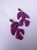 Photoroom_20260410_101906.JPEG